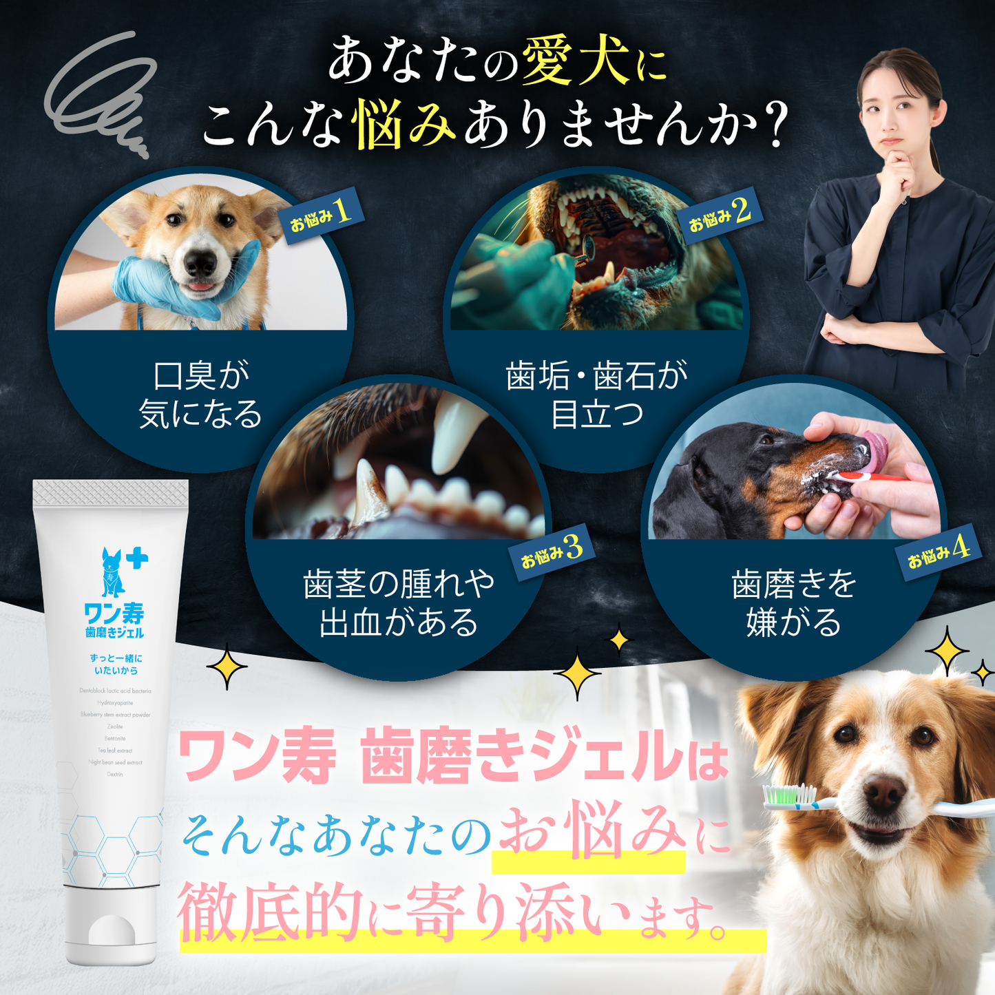 愛犬の口腔ケアに関するお悩み