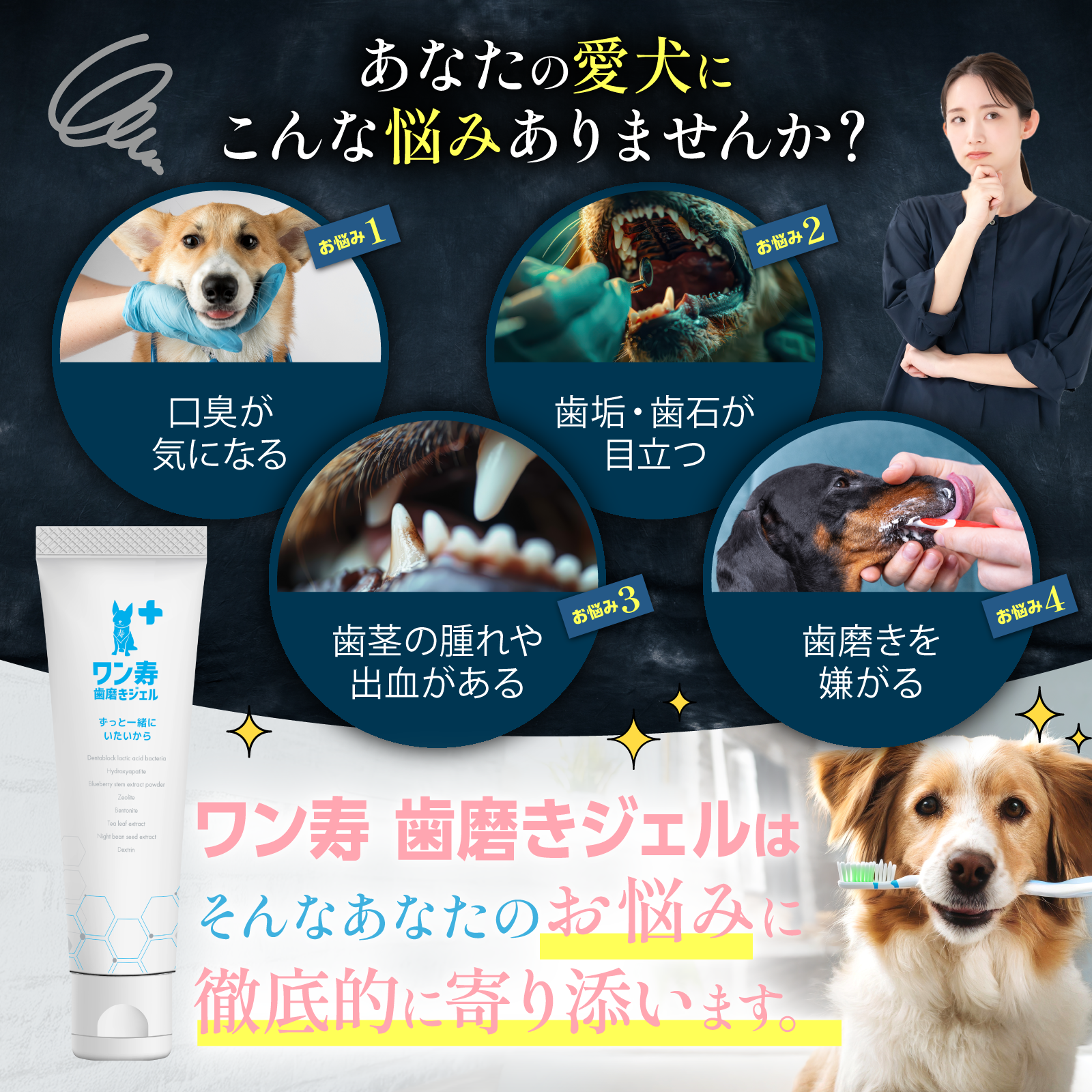 愛犬の口腔ケアに関するお悩み