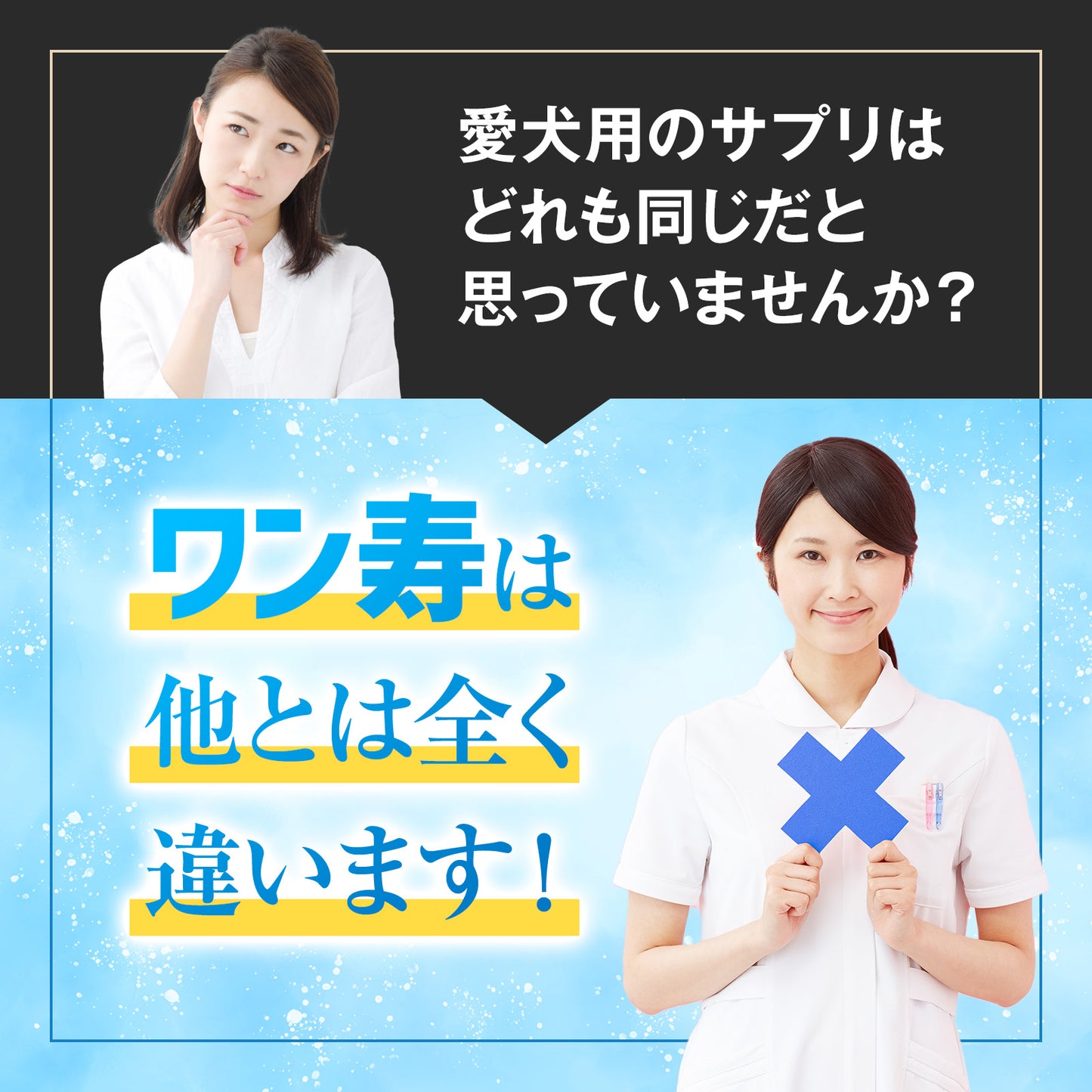 ワン寿の特長イメージ