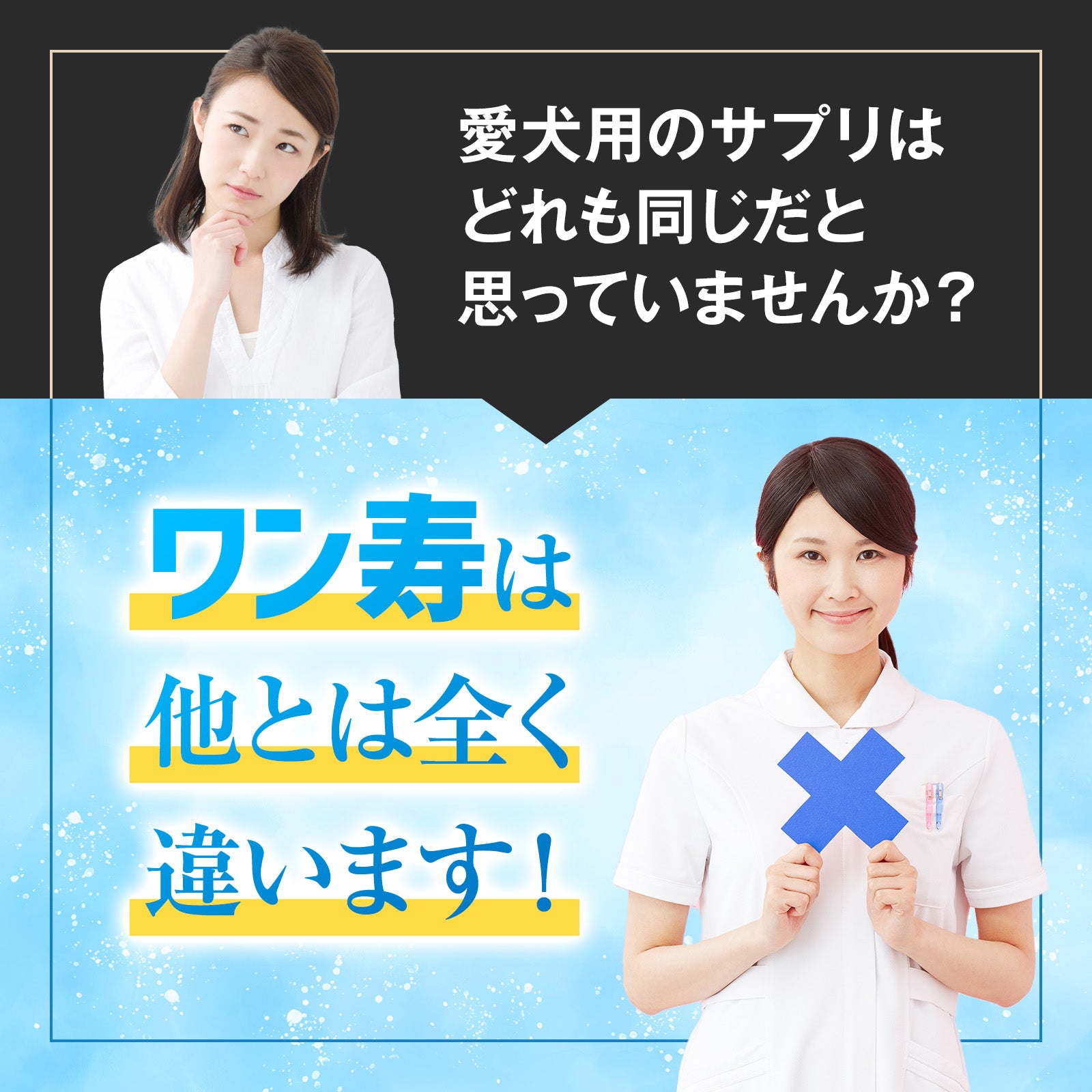 ワン寿の特長イメージ