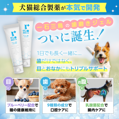 口腔・瞳・お腹のトリプルサポート