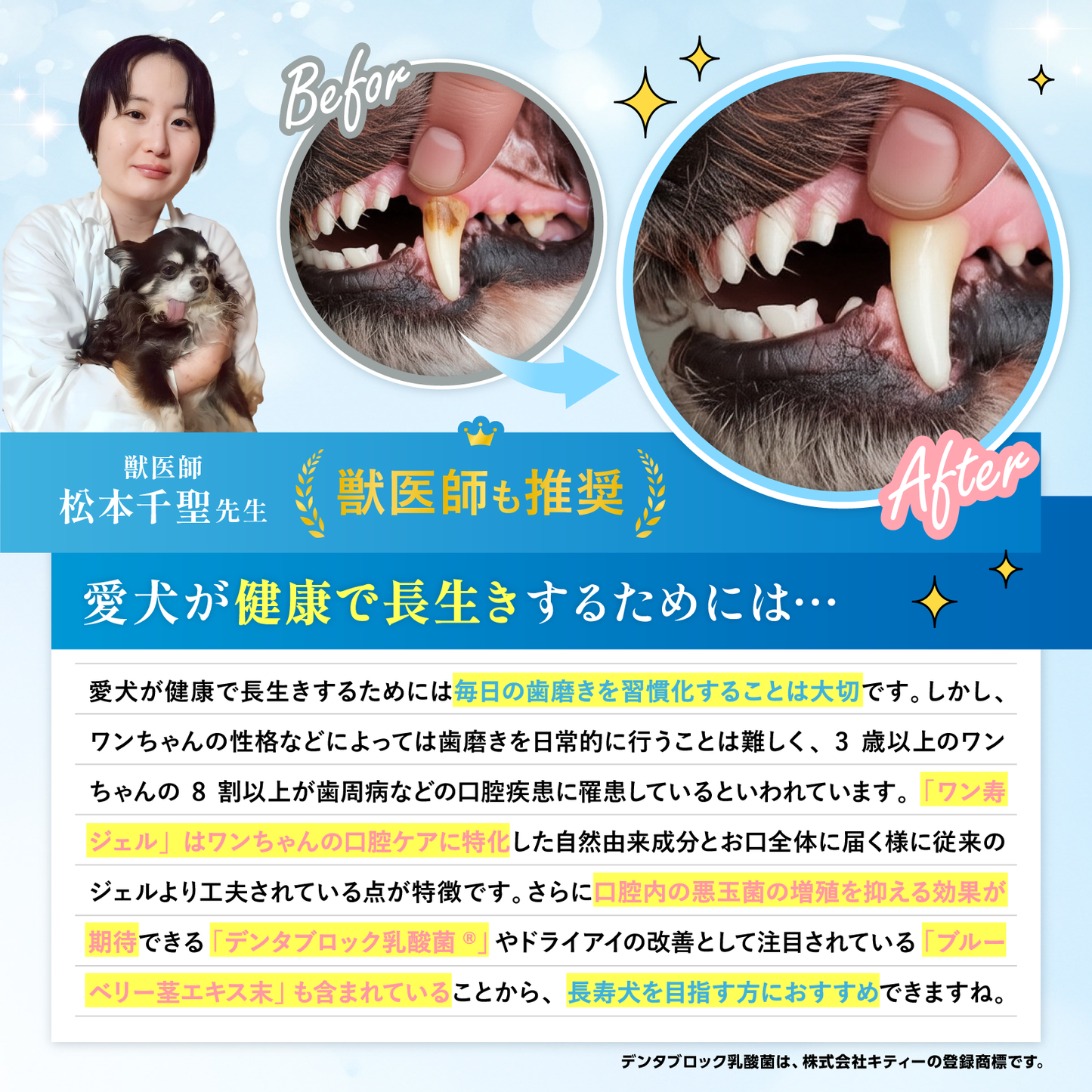 獣医師監修のワン寿歯磨きジェル