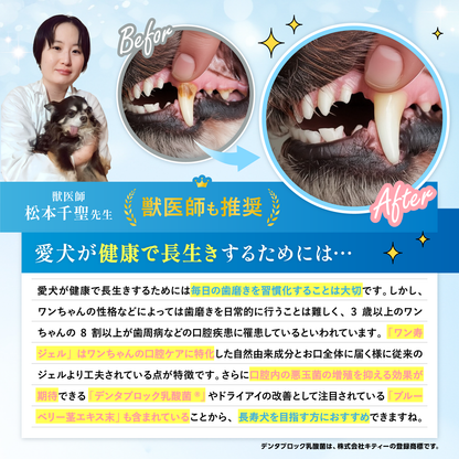 獣医師監修のワン寿歯磨きジェル